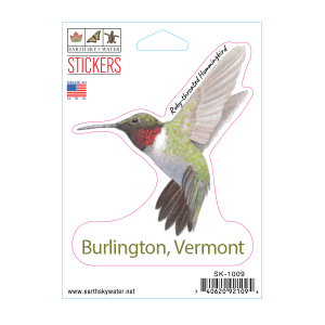 1009 Ruby Throated Hummingbird