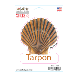 1020 Bay Scallop