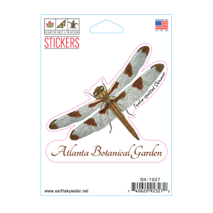 1027 Spotted Skimmer