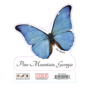 2016 Blue Morpho