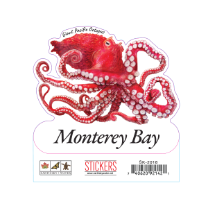 2018 Pacific Octopus