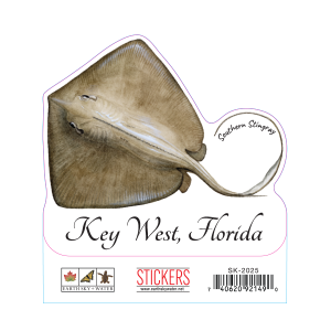 2025 Southern Stingray