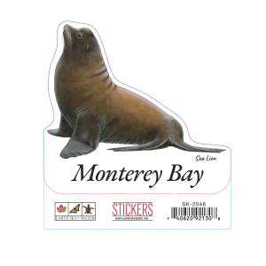 2048 California Sea Lion