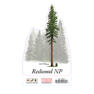 2065 Coast Redwood