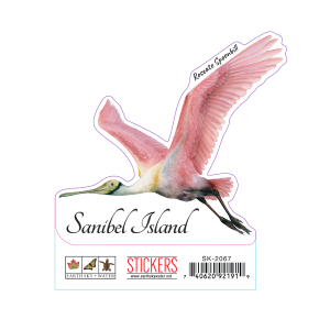 2067 Roseate Spoonbill