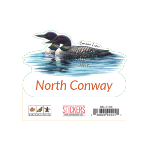 2100 Common Loons